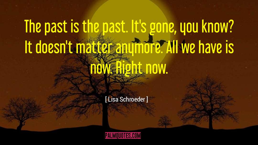 Lisa Schroeder Quotes: The past is the past.