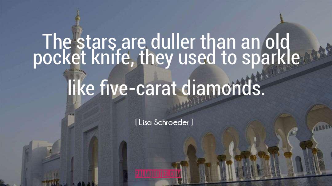 Lisa Schroeder Quotes: The stars are duller than