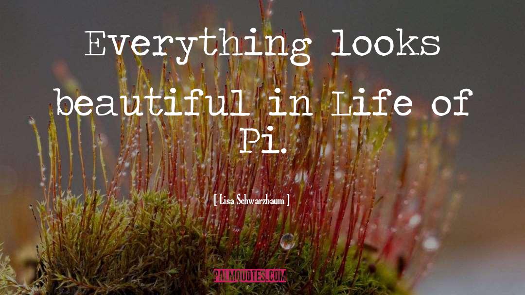 Lisa Schwarzbaum Quotes: Everything looks beautiful in Life