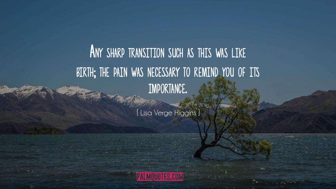 Lisa Verge Higgins Quotes: Any sharp transition such as