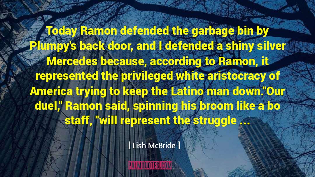 Lish McBride Quotes: Today Ramon defended the garbage