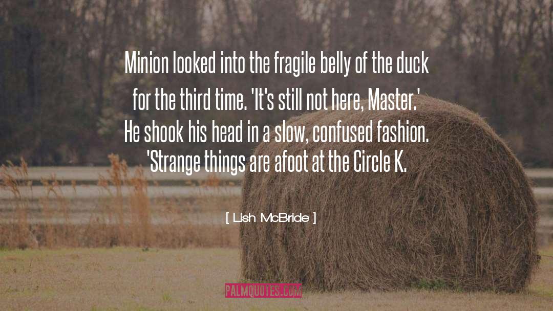 Lish McBride Quotes: Minion looked into the fragile