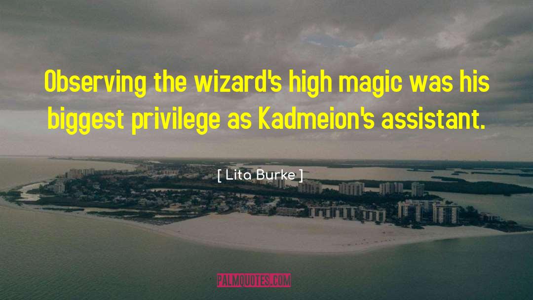 Lita Burke Quotes: Observing the wizard's high magic