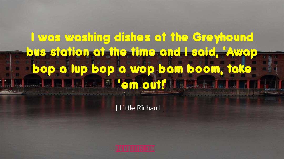 Little Richard Quotes: I was washing dishes at