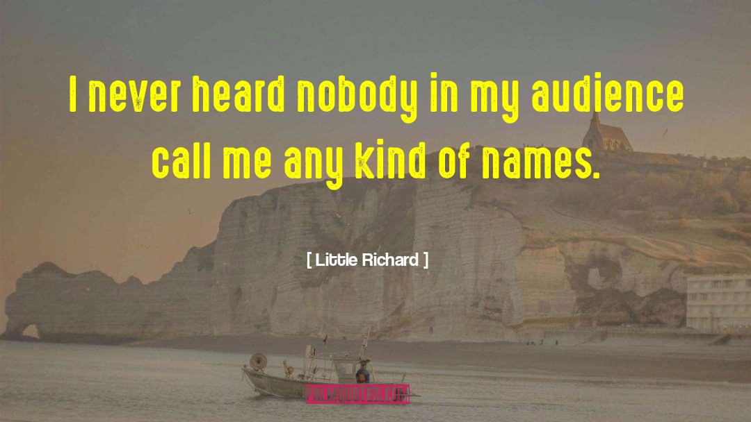 Little Richard Quotes: I never heard nobody in