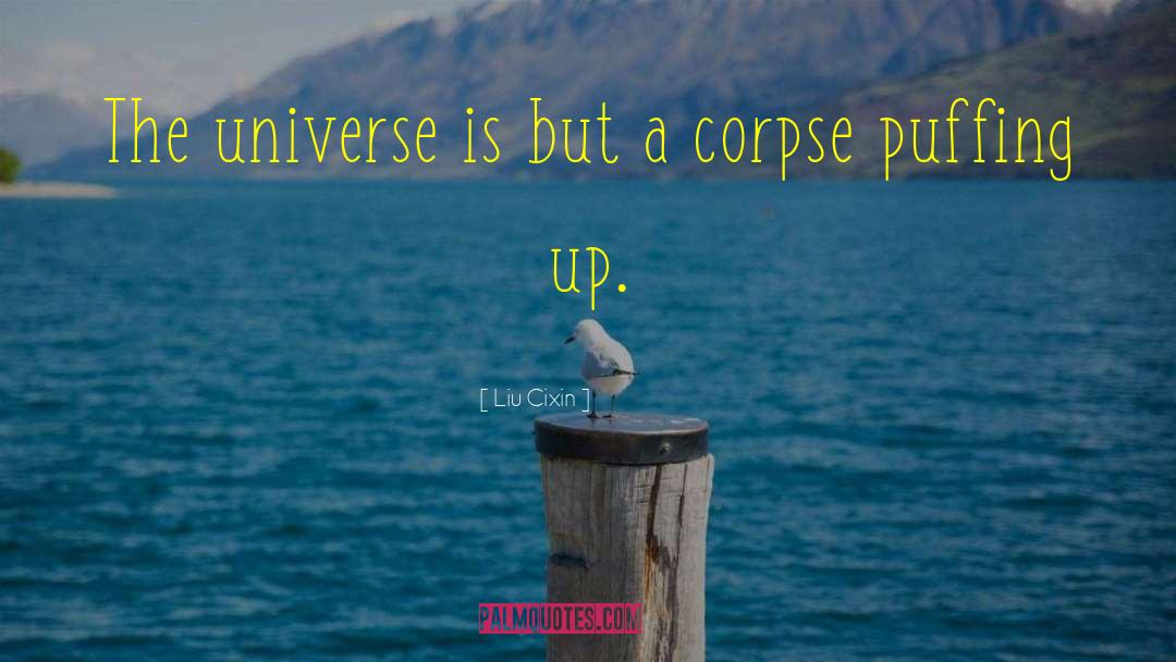 Liu Cixin Quotes: The universe is but a