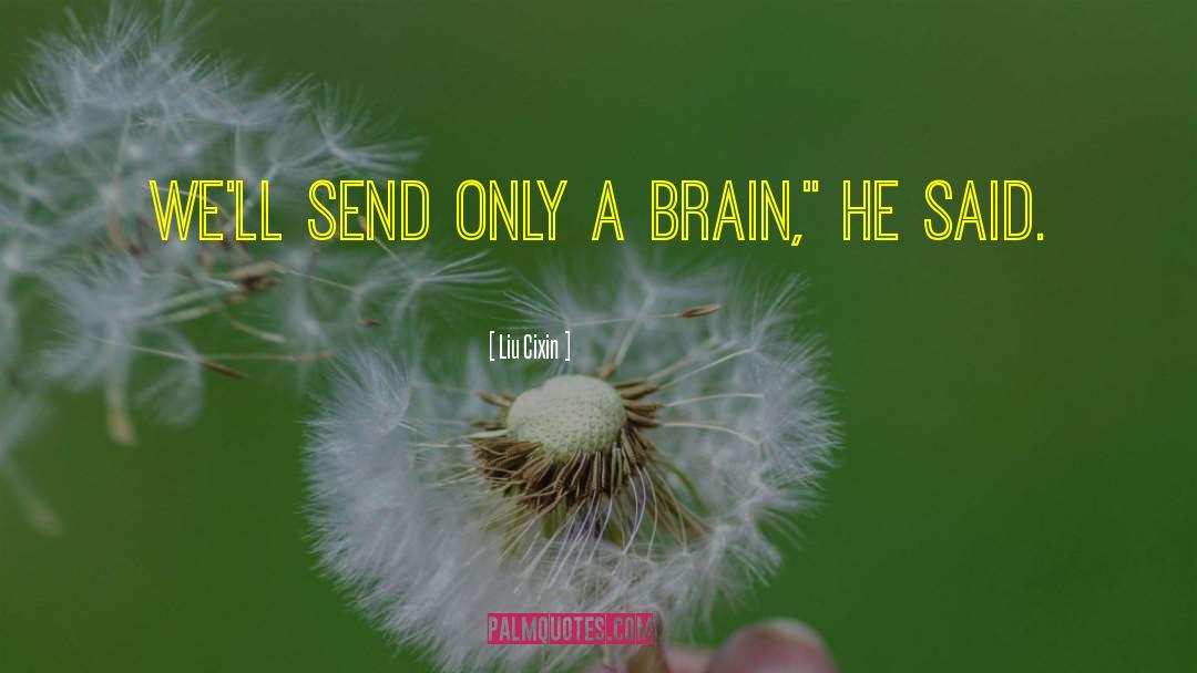Liu Cixin Quotes: We'll send only a brain,