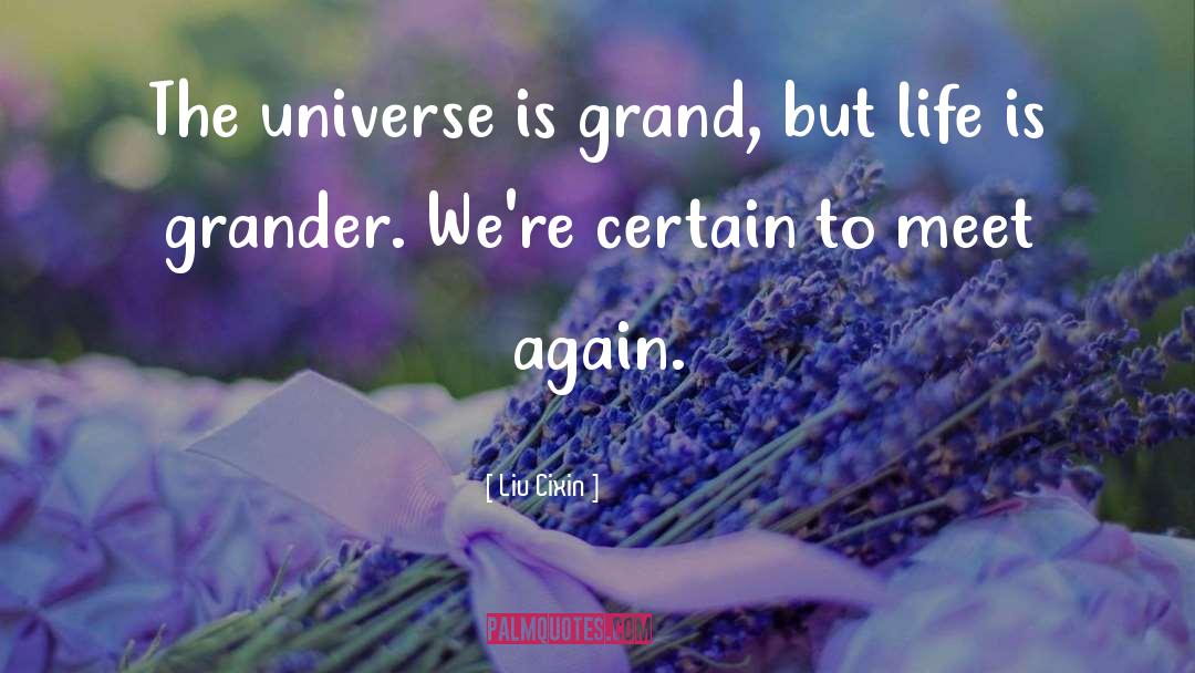 Liu Cixin Quotes: The universe is grand, but