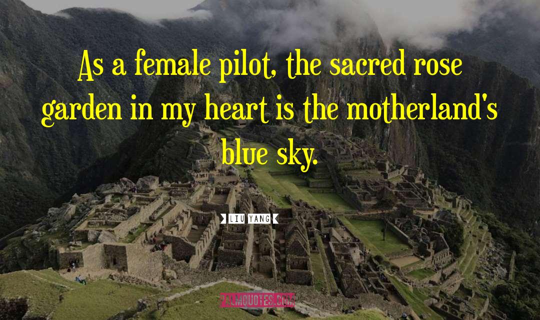 Liu Yang Quotes: As a female pilot, the