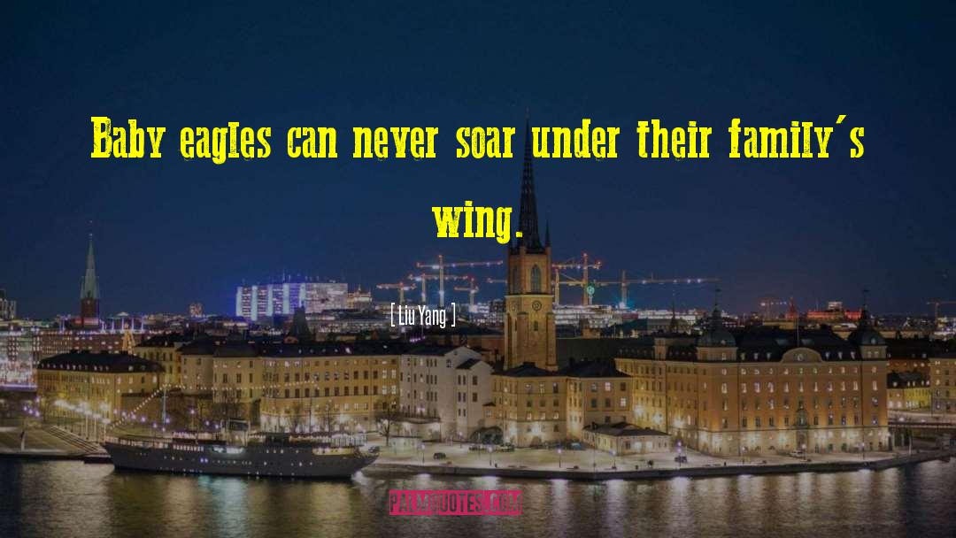 Liu Yang Quotes: Baby eagles can never soar