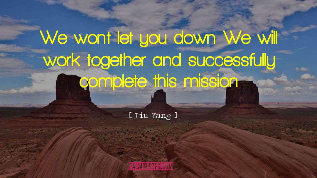 Liu Yang Quotes: We won't let you down.