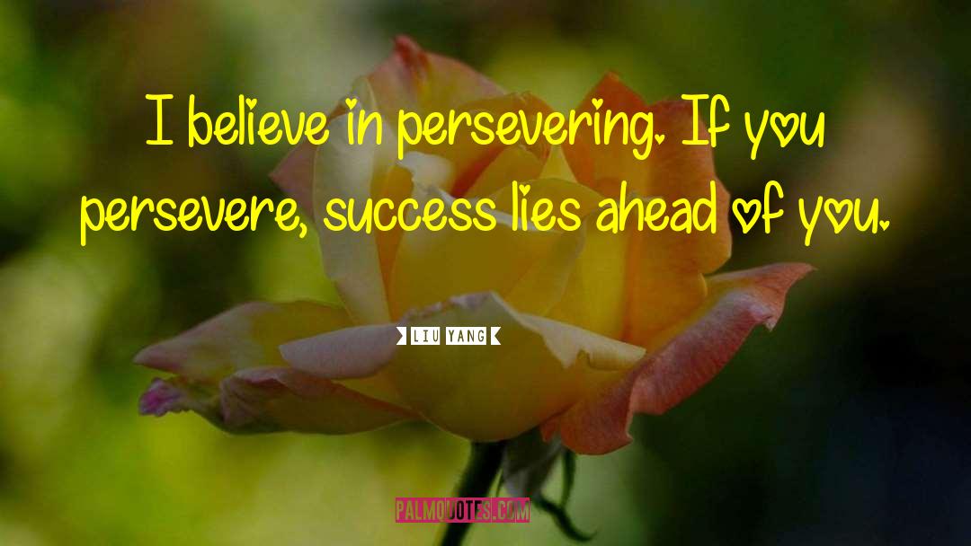Liu Yang Quotes: I believe in persevering. If