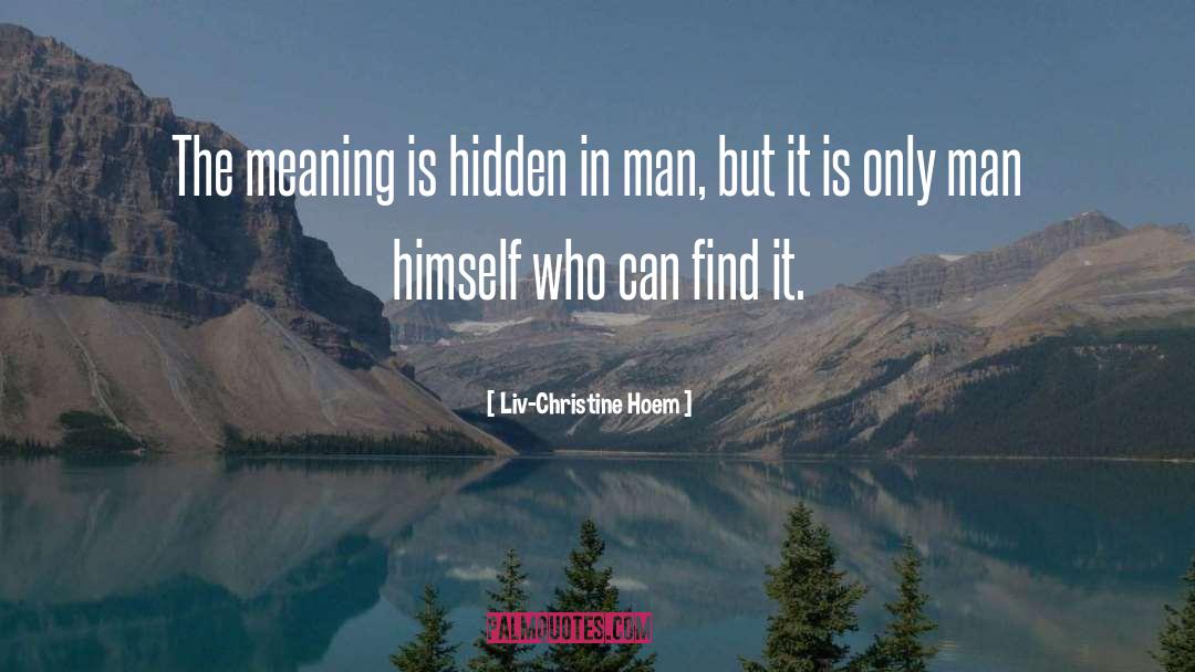 Liv-Christine Hoem Quotes: The meaning is hidden in