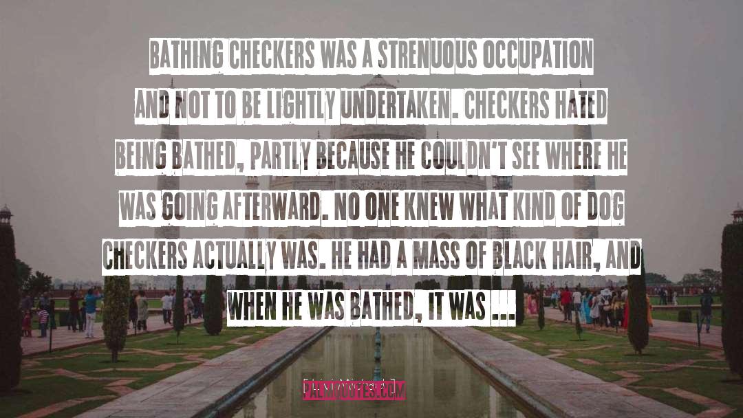 Livi Michael Quotes: Bathing Checkers was a strenuous