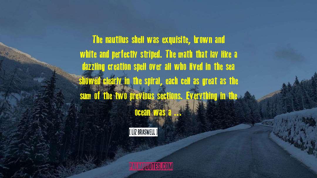 Liz Braswell Quotes: The nautilus shell was exquisite,