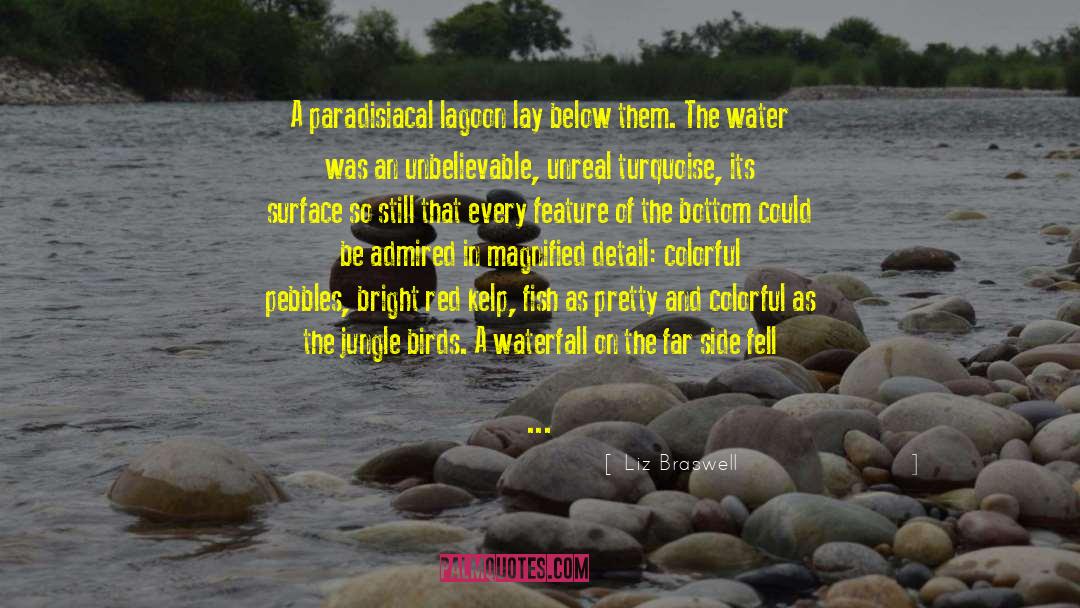 Liz Braswell Quotes: A paradisiacal lagoon lay below