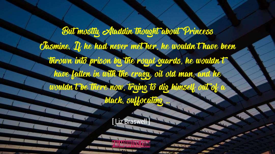 Liz Braswell Quotes: But mostly Aladdin thought about