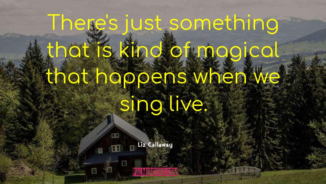 Liz Callaway Quotes: There's just something that is
