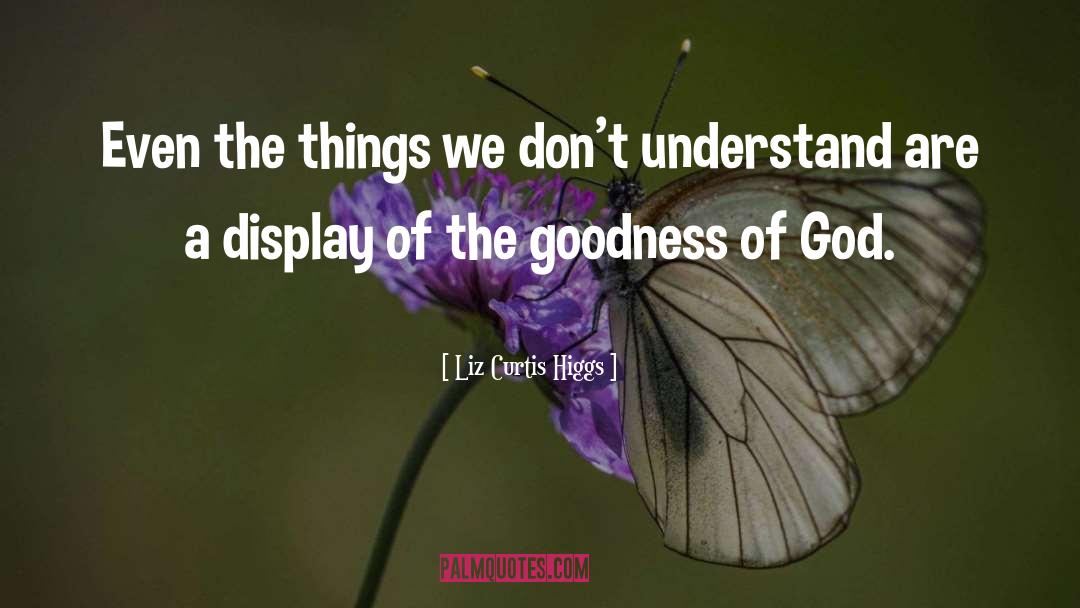 Liz Curtis Higgs Quotes: Even the things we don't