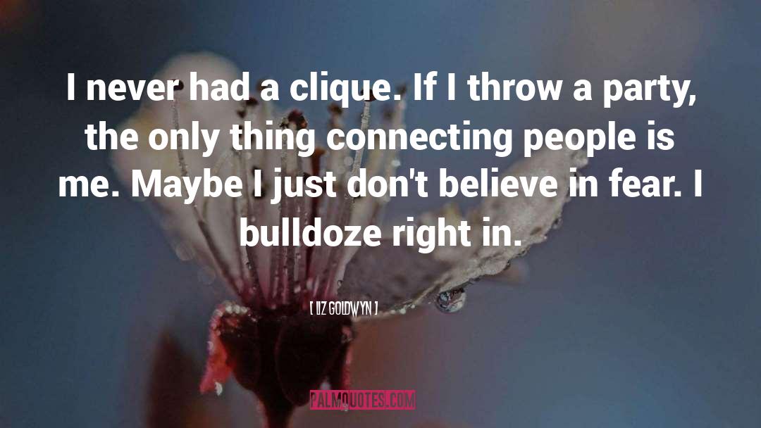 Liz Goldwyn Quotes: I never had a clique.