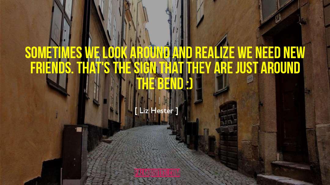 Liz Hester Quotes: Sometimes we look around and