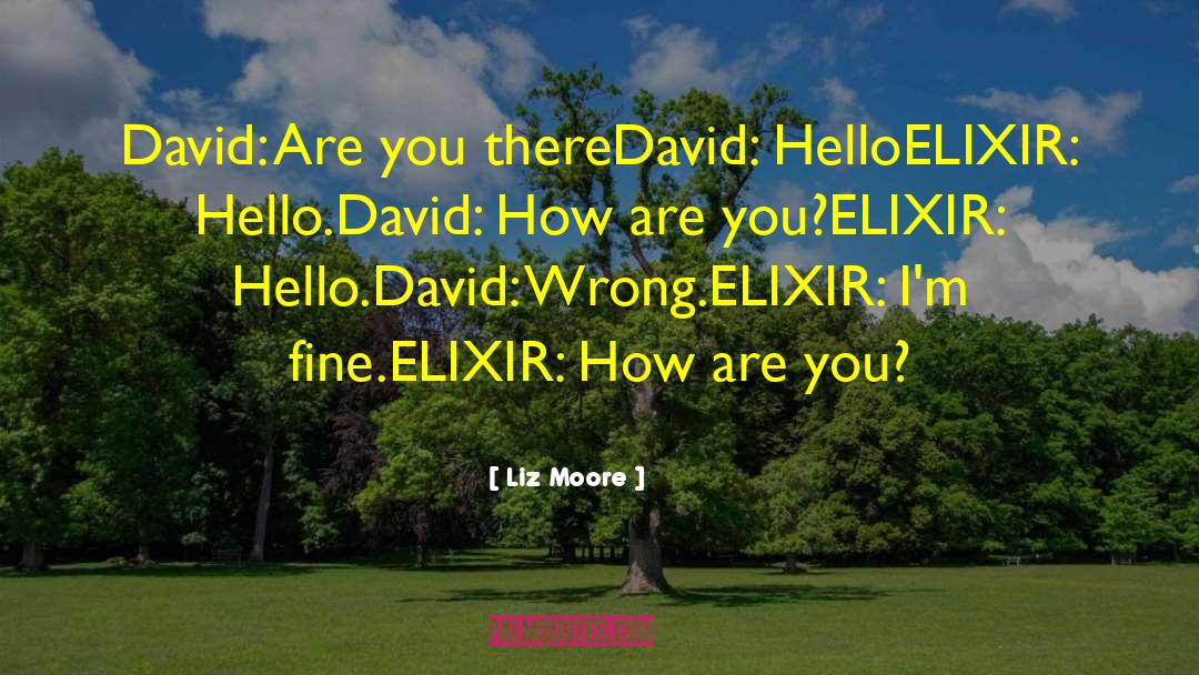 Liz Moore Quotes: David: Are you there<br />David: