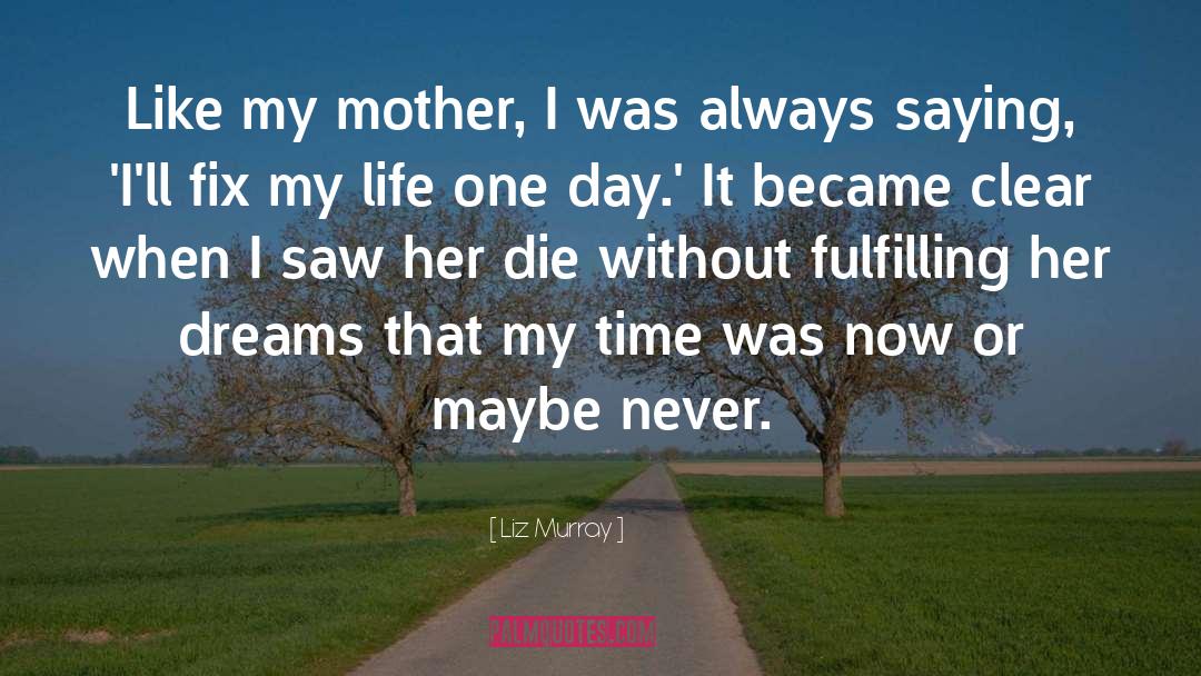 Liz Murray Quotes: Like my mother, I was