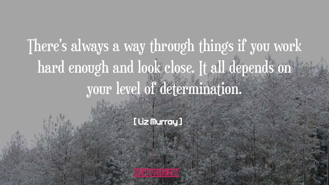 Liz Murray Quotes: There's always a way through
