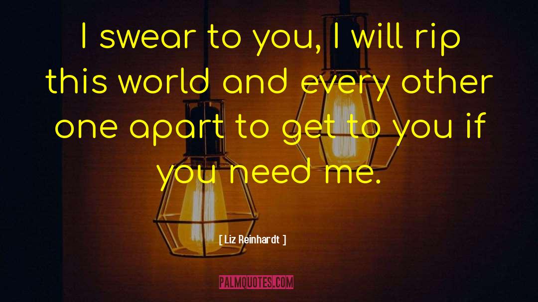 Liz Reinhardt Quotes: I swear to you, I