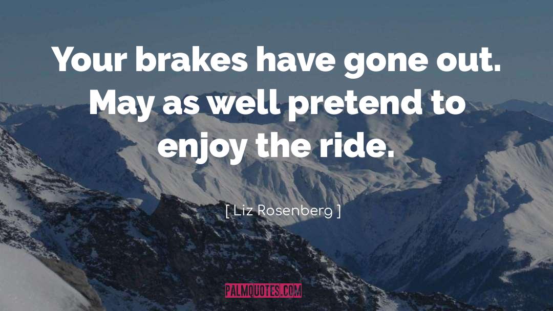 Liz Rosenberg Quotes: Your brakes have gone out.