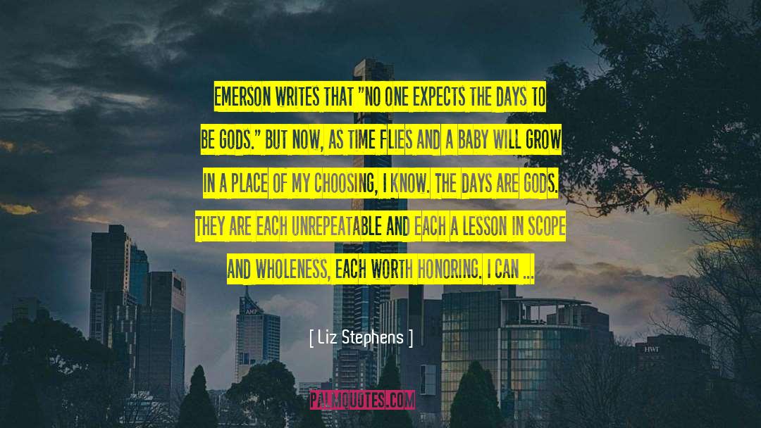 Liz Stephens Quotes: Emerson writes that 