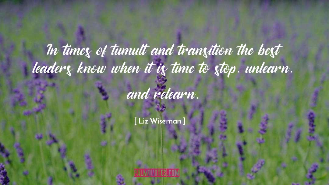 Liz Wiseman Quotes: In times of tumult and