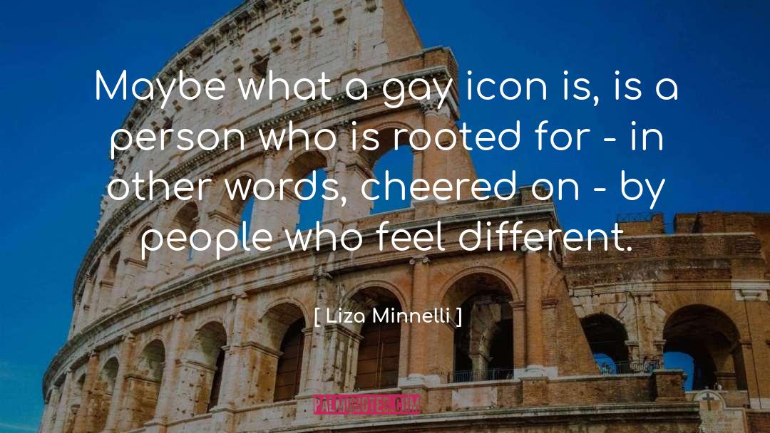 Liza Minnelli Quotes: Maybe what a gay icon