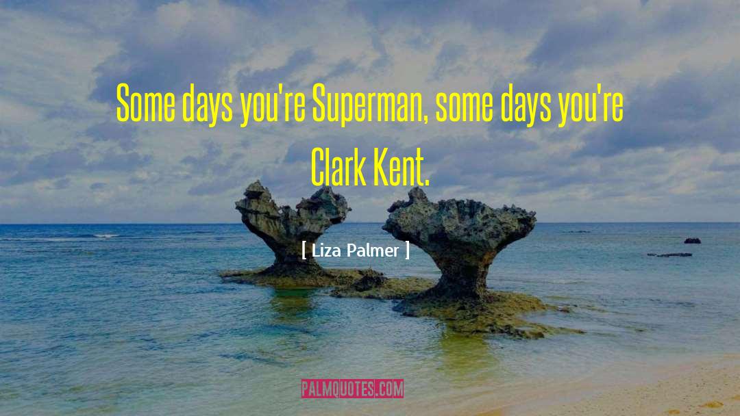 Liza Palmer Quotes: Some days you're Superman, some