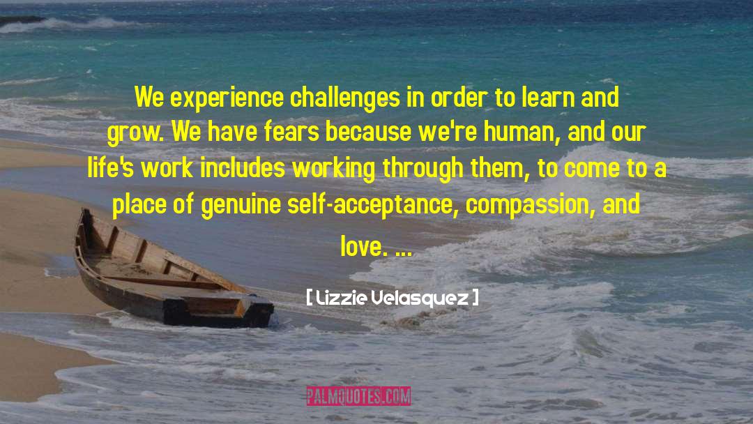 Lizzie Velasquez Quotes: We experience challenges in order