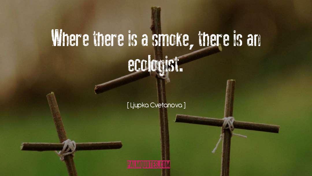 Ljupka Cvetanova Quotes: Where there is a smoke,