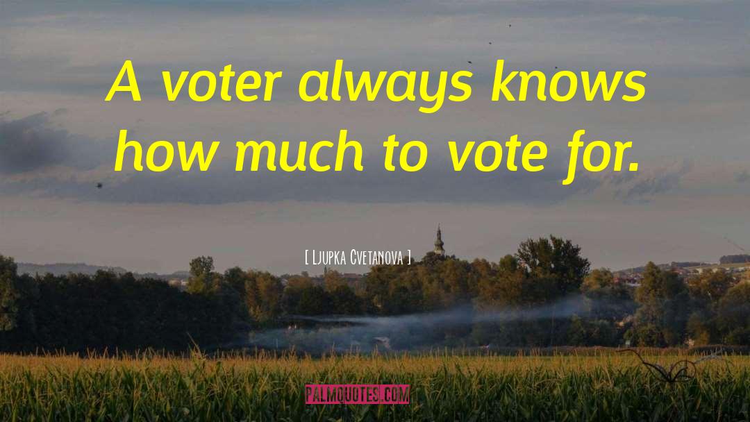 Ljupka Cvetanova Quotes: A voter always knows how
