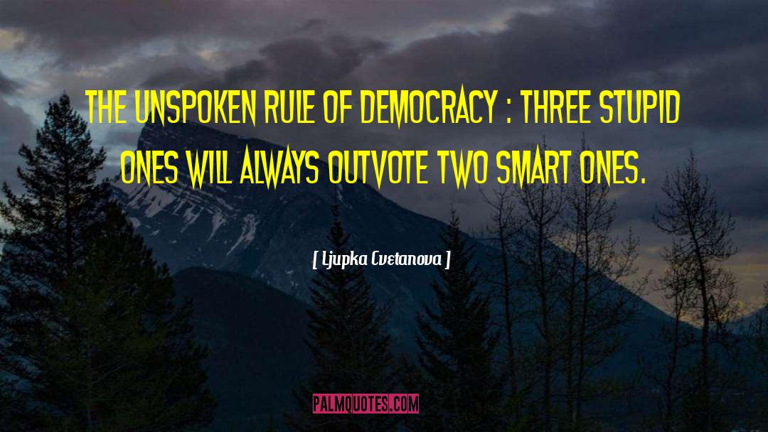 Ljupka Cvetanova Quotes: The unspoken rule of democracy