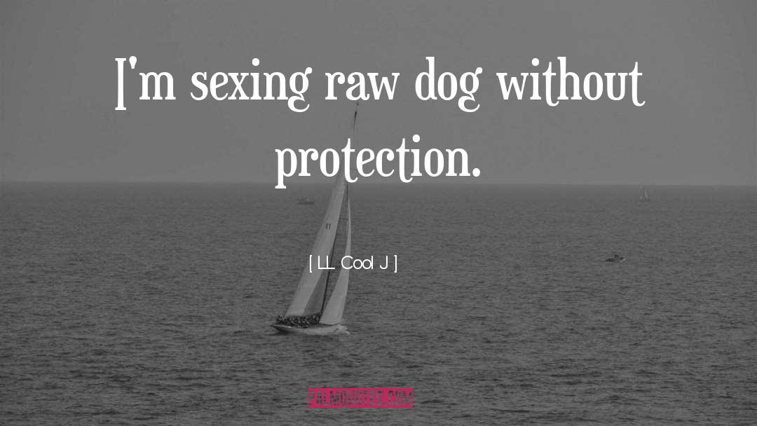 LL Cool J Quotes: I'm sexing raw dog without