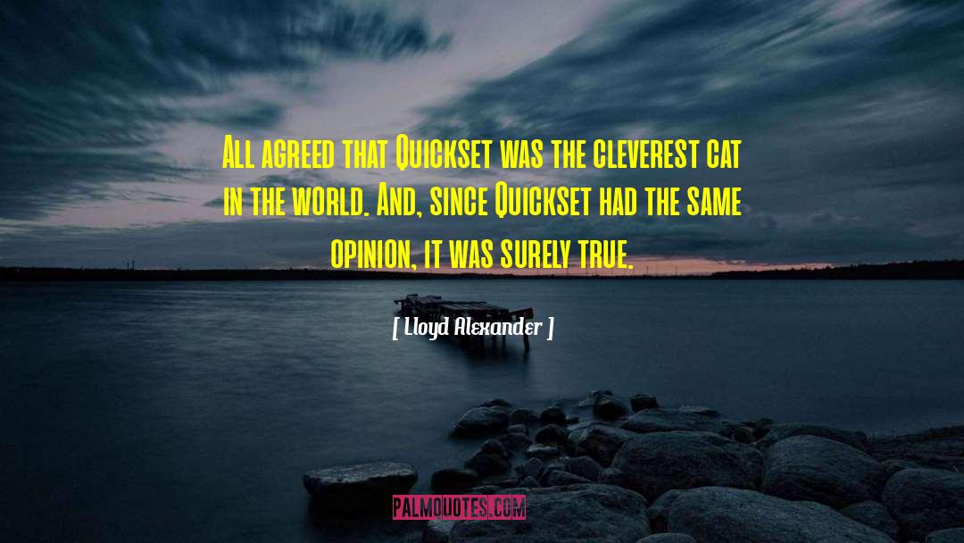 Lloyd Alexander Quotes: All agreed that Quickset was