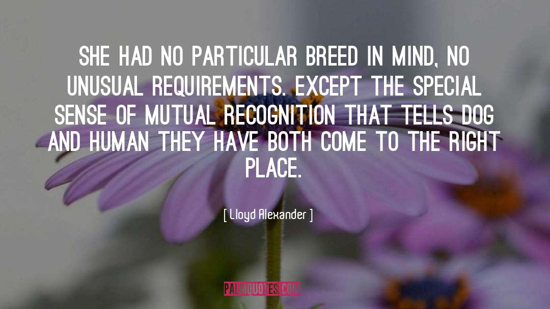 Lloyd Alexander Quotes: She had no particular breed