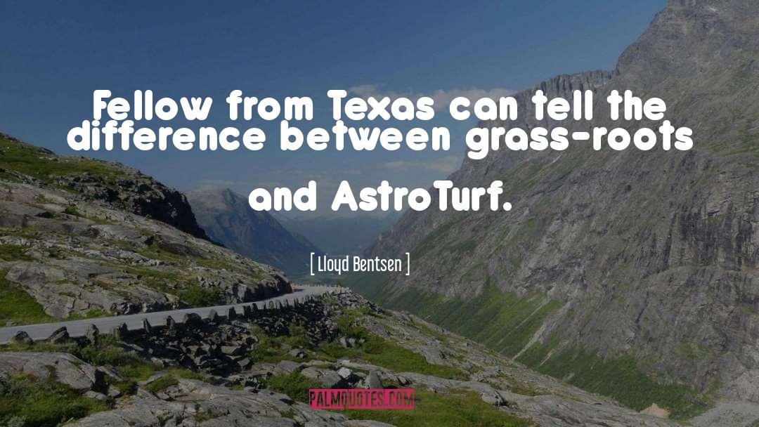Lloyd Bentsen Quotes: Fellow from Texas can tell