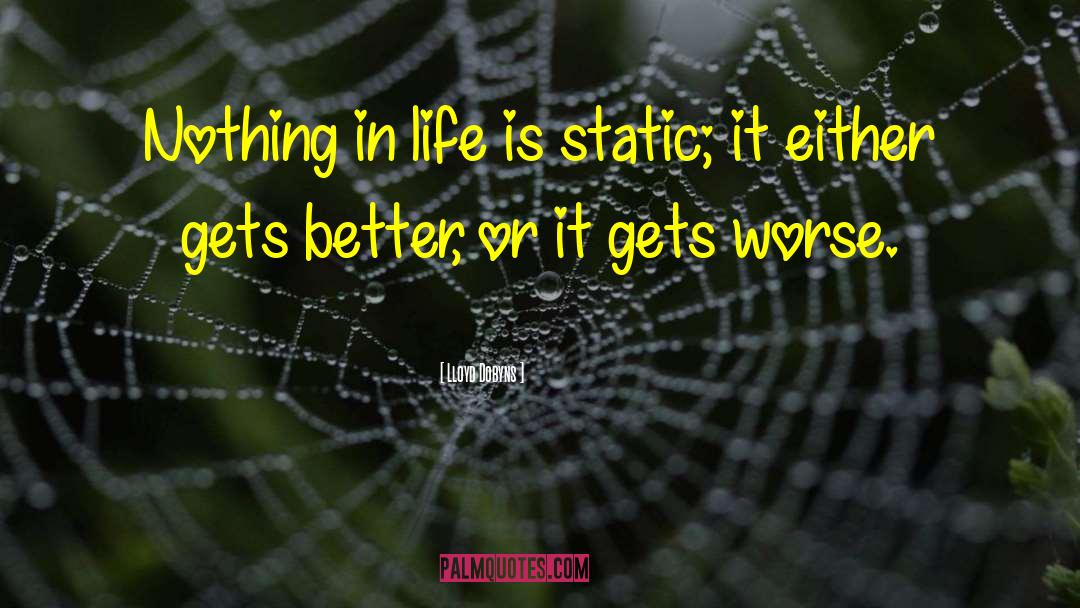 Lloyd Dobyns Quotes: Nothing in life is static;