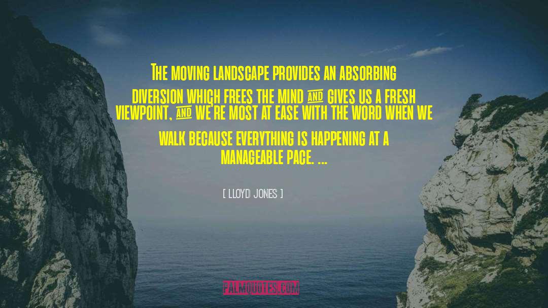 Lloyd Jones Quotes: The moving landscape provides an