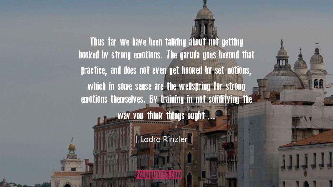 Lodro Rinzler Quotes: Thus far we have been