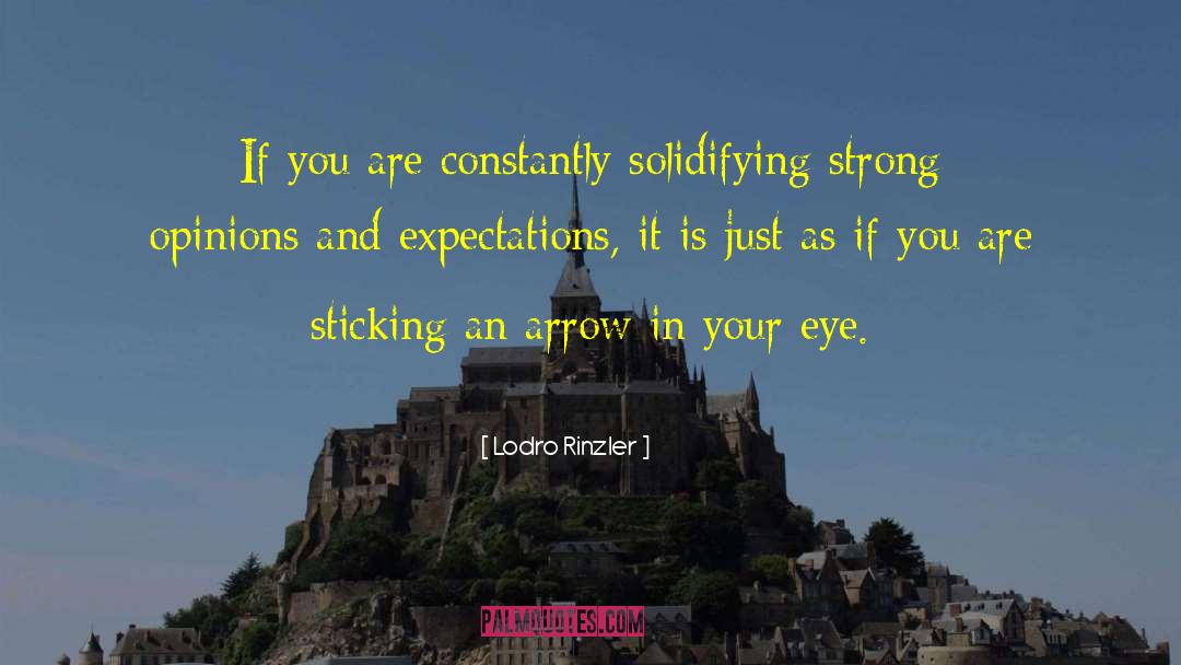 Lodro Rinzler Quotes: If you are constantly solidifying