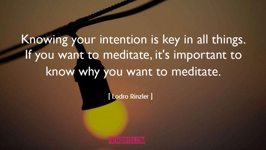 Lodro Rinzler Quotes: Knowing your intention is key