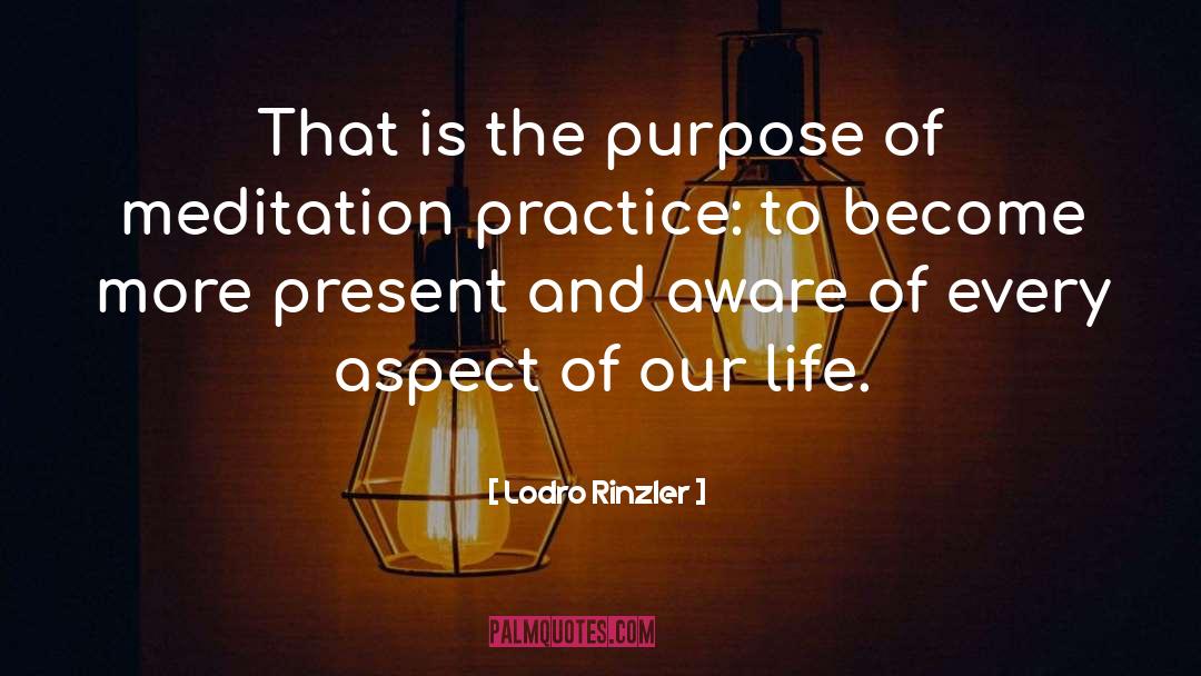 Lodro Rinzler Quotes: That is the purpose of