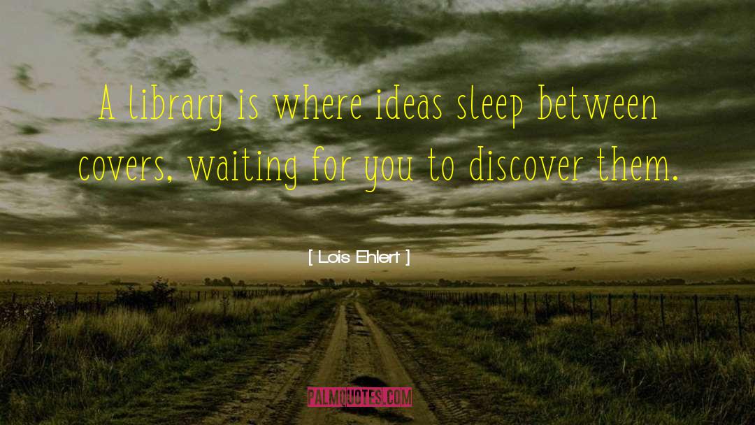 Lois Ehlert Quotes: A library is where ideas