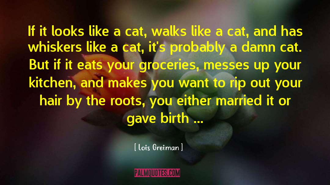 Lois Greiman Quotes: If it looks like a
